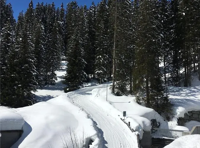 Furkablick Alice Und Yvonne By * Ароза